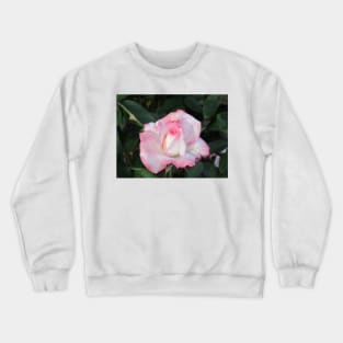 Light Pink Rose Crewneck Sweatshirt